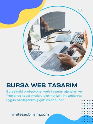 bursa web tasarım fiyatları